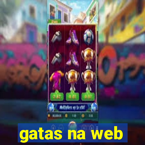 gatas na web